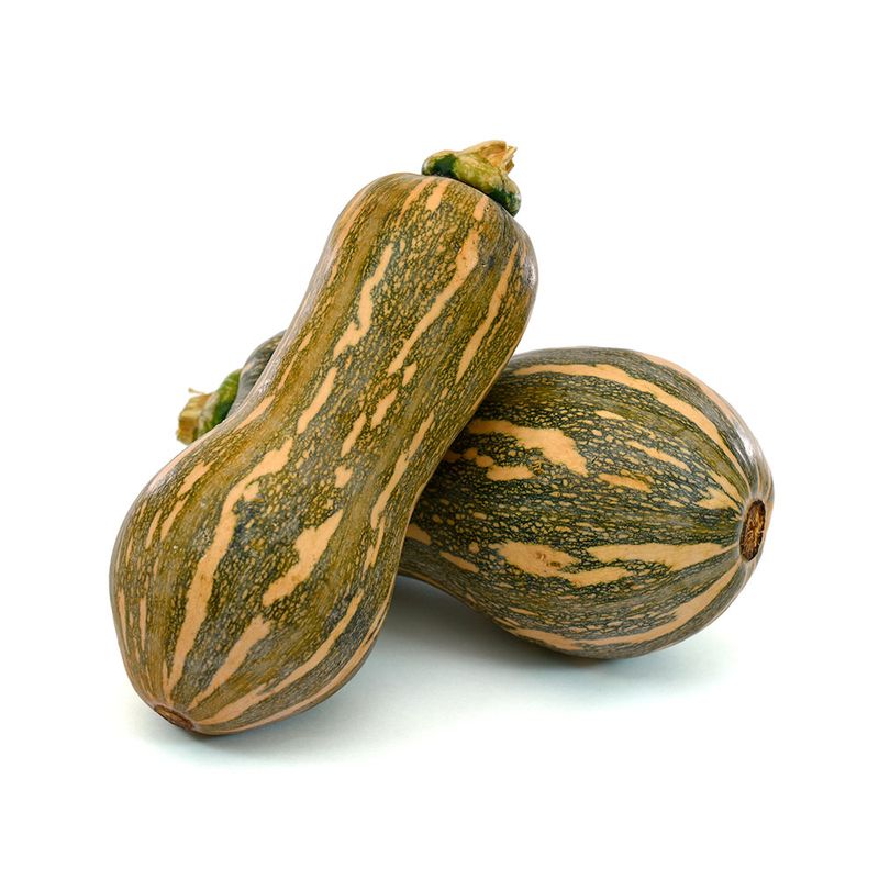 Abóbora Paulista Rio Bonito 600g Orgânico (7898653231963)
