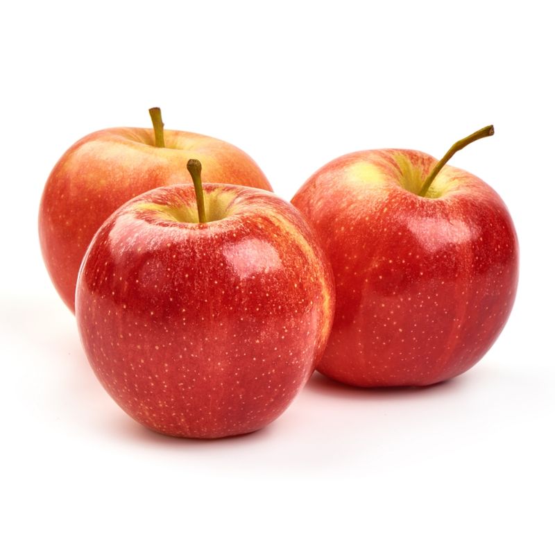 MACA-GALA-KG-BDJ