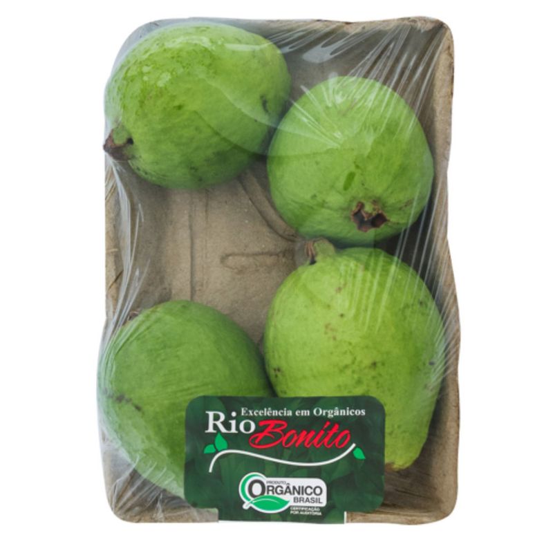 GOIABA-VERM-RIO-BONITO-500G-ORG