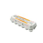 OVO-BCO-MANTIQUEIRA-C-12-MED