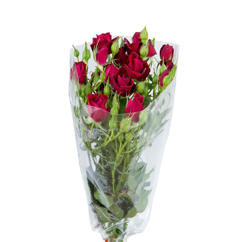 Maço Rosas Spray Variadas (7898348390104)