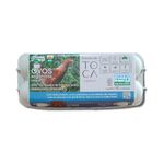 OVO-VERM-ORG-FAZ-TOCA-C-10-PEQ-ECO