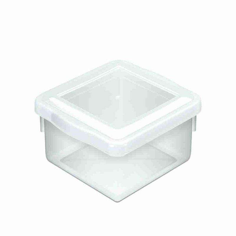 CAIXA-ORGANIZ-PLEION-BIOP-25L-QUAD-C-TPA