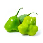 PIMENTA-CAMBUCI-KG-BDJ