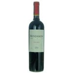 VH-ARG-BENJAMIN-NIETO-750ML-MALBEC