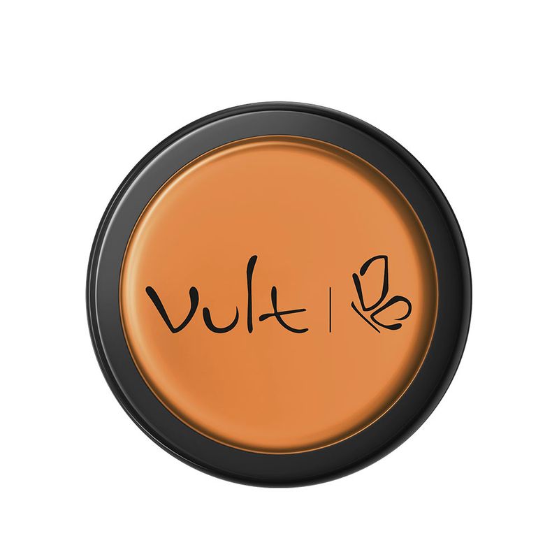 Corretivo Facial Vult 2G Cremoso Mel (7899852002910)