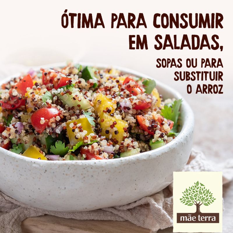 QUINUA-MAE-TERRA-250G-GRAO