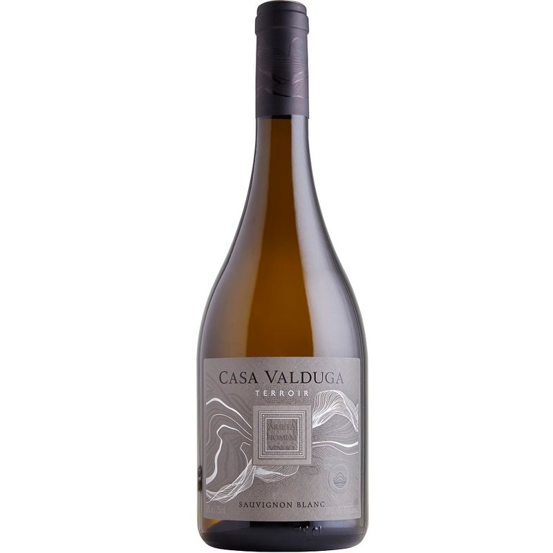 Vinho Brasileiro Casa Valduga Terroir Sauvignon Blanc 750ml (7898276970249)