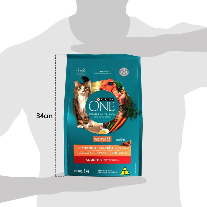ALIM-GAT-ONE-2KG-ADULTO-FGO-SALMAO