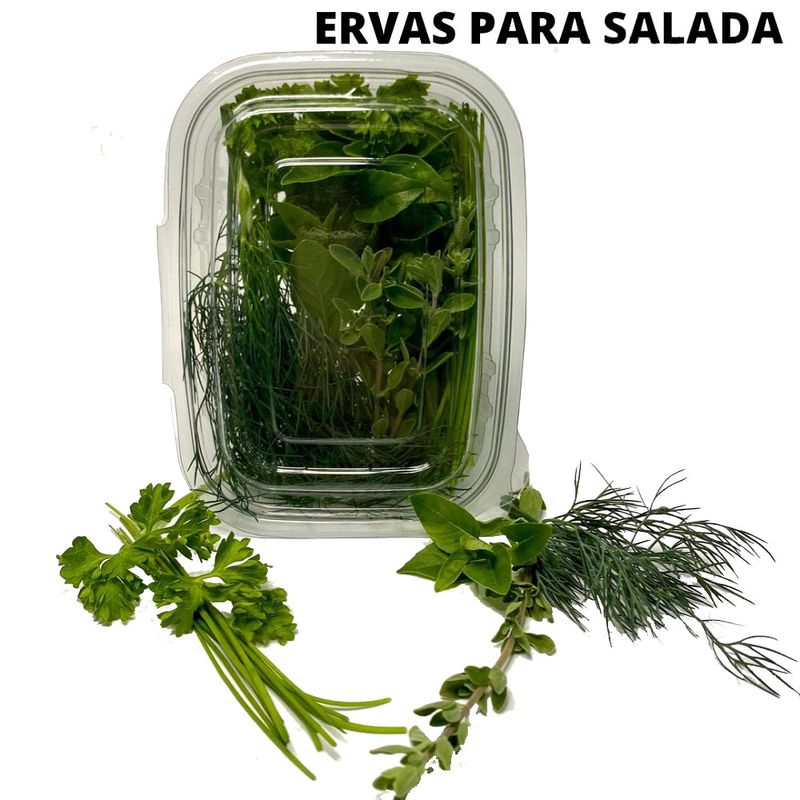 Ervas Para Salada Vermeulen 30g (7898960542462)