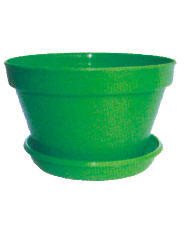 VASO-M.VERDE-C-PRATO-COLOR-SORT-N3