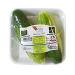 PEPINO-CAIP-ORG-SOLO-VIVO-400G-BDJ