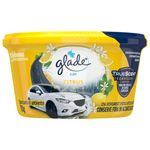 ODOR-GLADE-GEL-CAR-70G-CITRUS