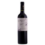 VH-CHI-GR-VERANO-750ML-CARMENERE