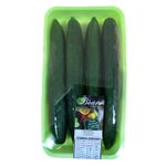 PEPINO-JAPONES-BEATO-500G-BDJ