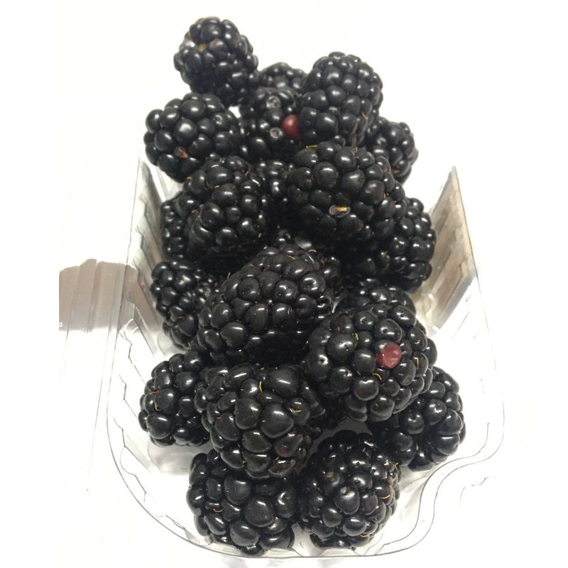 Amora Nacional Frutamina 100g (7908013000723)