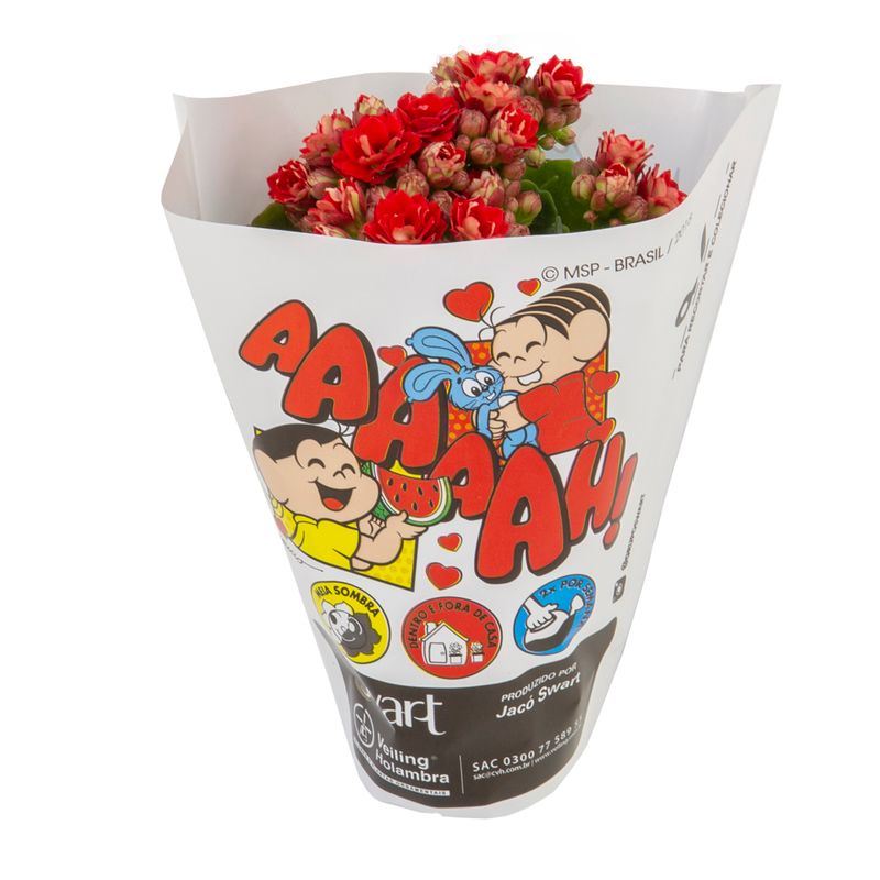VASO KALANCHOE P06 T MONICA (7890291288439)