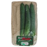PEPINO-JAPONES-RIO-BONITO-400G-ORG