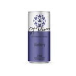 BEB-GASEIF-ST-PIERRE-270ML-LT-BLUEBERRY