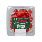 TOMATE-SWEET-RIO-BONITO-180G-ORG