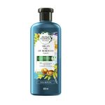 SH-HERBAL-400ML-OLEO-ARGAN