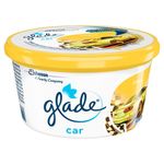 ODOR-GLADE-GEL-CAR-70G-CITRUS