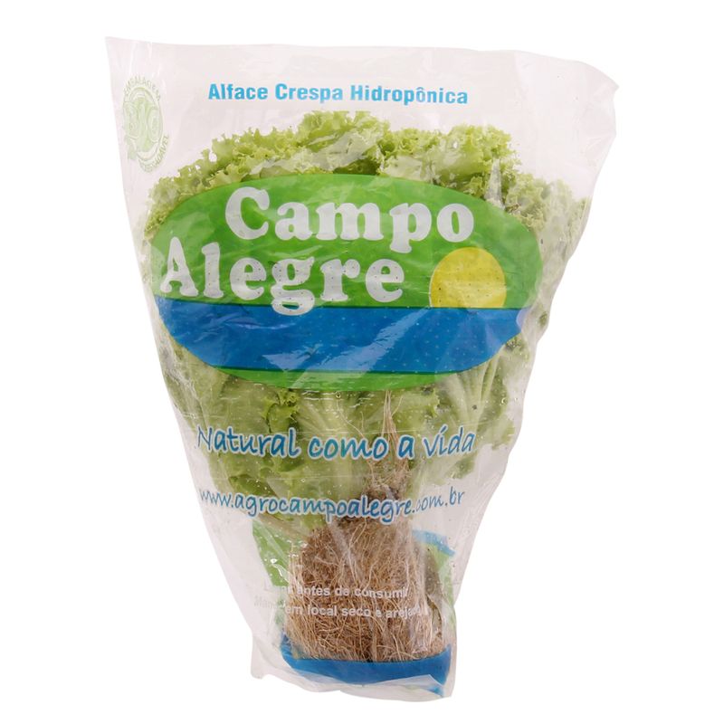 Alface Crespa Hidropônico Campo Alegre Unidade (7898938981330)