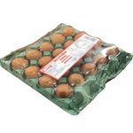 OVO-VERM-COAG-C-20-GDE