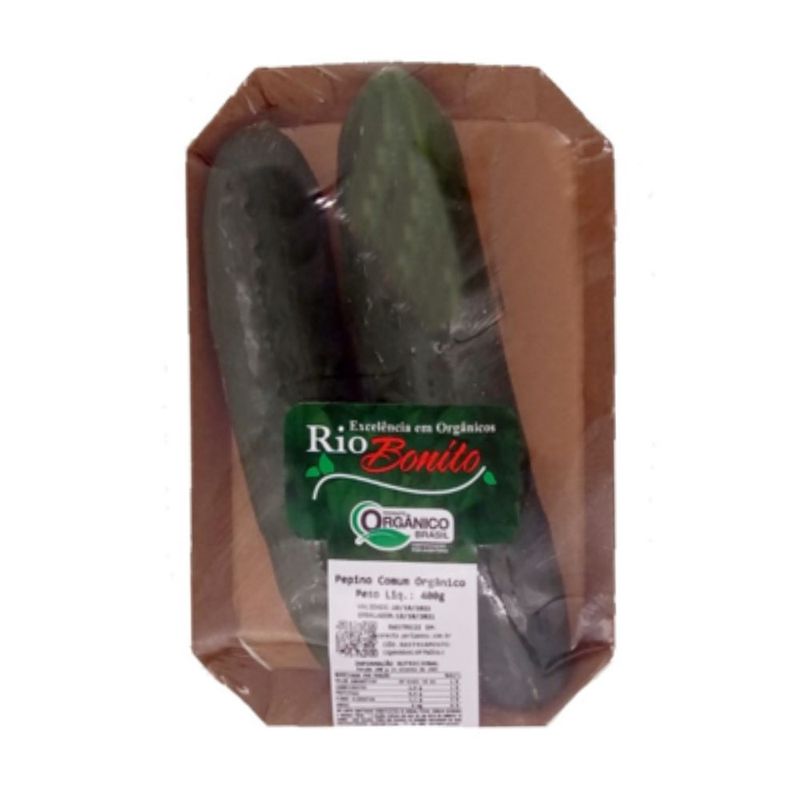 PEPINO-COMUM-RIO-BONITO-400G-ORG