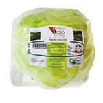 REPOLHO-VERDE-ORG-SOLO-VIVO-400G