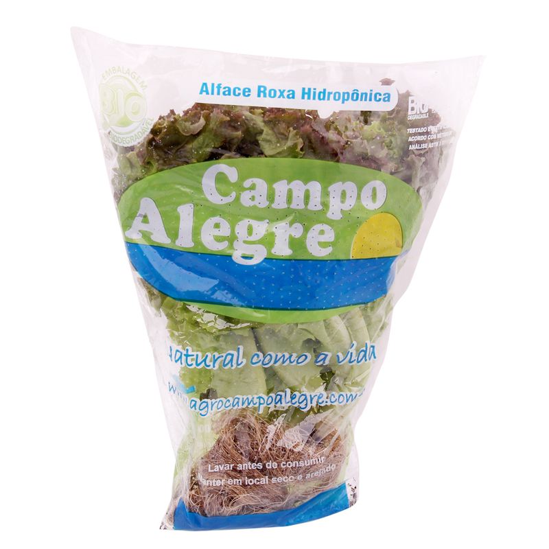 Alface Roxa Hidropônico Campo Alegre Maço (7898938981347)