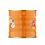 SALADA-FRUTAS-PREDILECTA-450G-LT