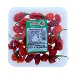 PIMEN-CHEIRO-I.PIMENTA-90G