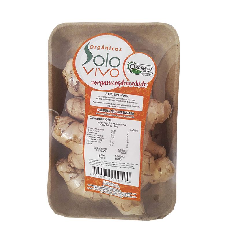 Gengibre Organico Solo Vivo 300g (7898939010510)