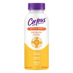 SUCO-PRON-CORPUS-250ML-LARANJA