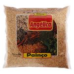 PAINCO-ANGELICA-500G