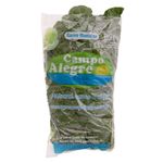 COUVE-MANT-CAMPO-ALEGRE-MC