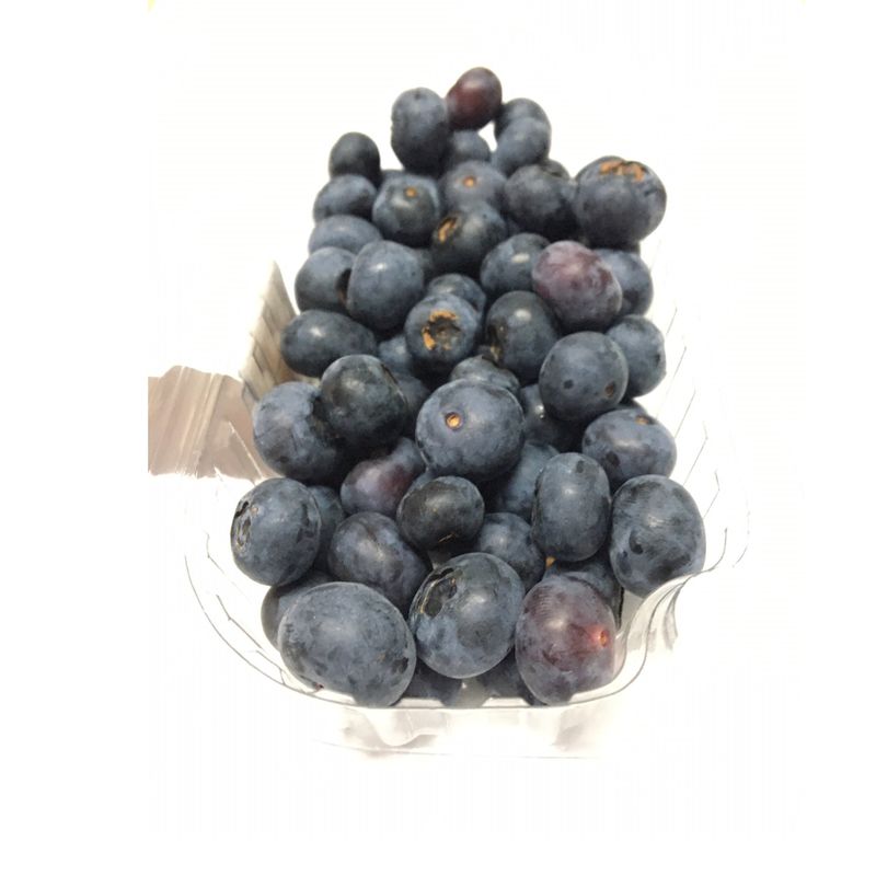 Mirtilo Nacional Frutamina 100g (7908013002086)