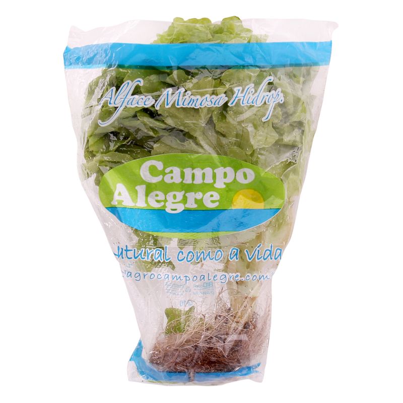 Alface Mimosa Hidrop Campo Alegre (7898938981361)