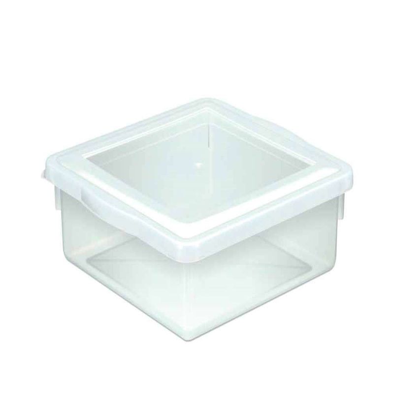 CAIXA-ORGANIZ-PLEION-BIOP-45L