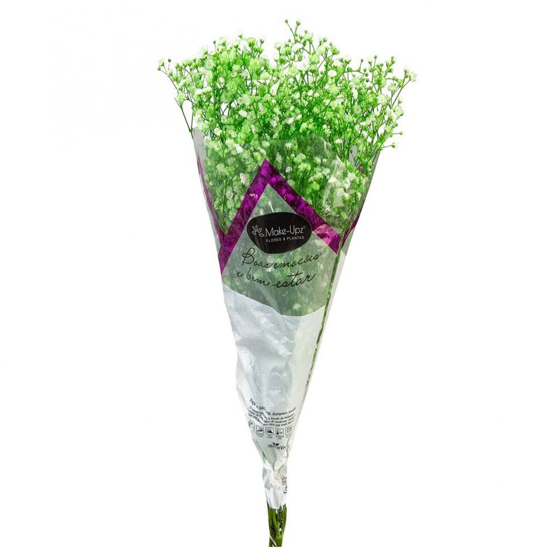 Maço Gypsophila Colours Decorado (7890291492874)