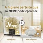 PAP-HIG-F.T-NEVE-20M-L24P21