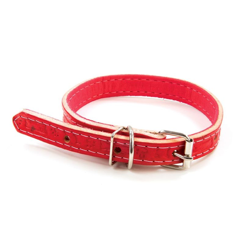 Coleira para cão sola forrada Baw Waw (7899306038052)