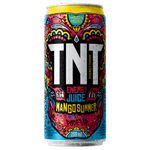 ENERG-TNT-269ML-LT-MANGO-SUMMER