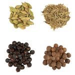 KIT-EXPERT-BR-SPICES-40G-GIN-TONICA