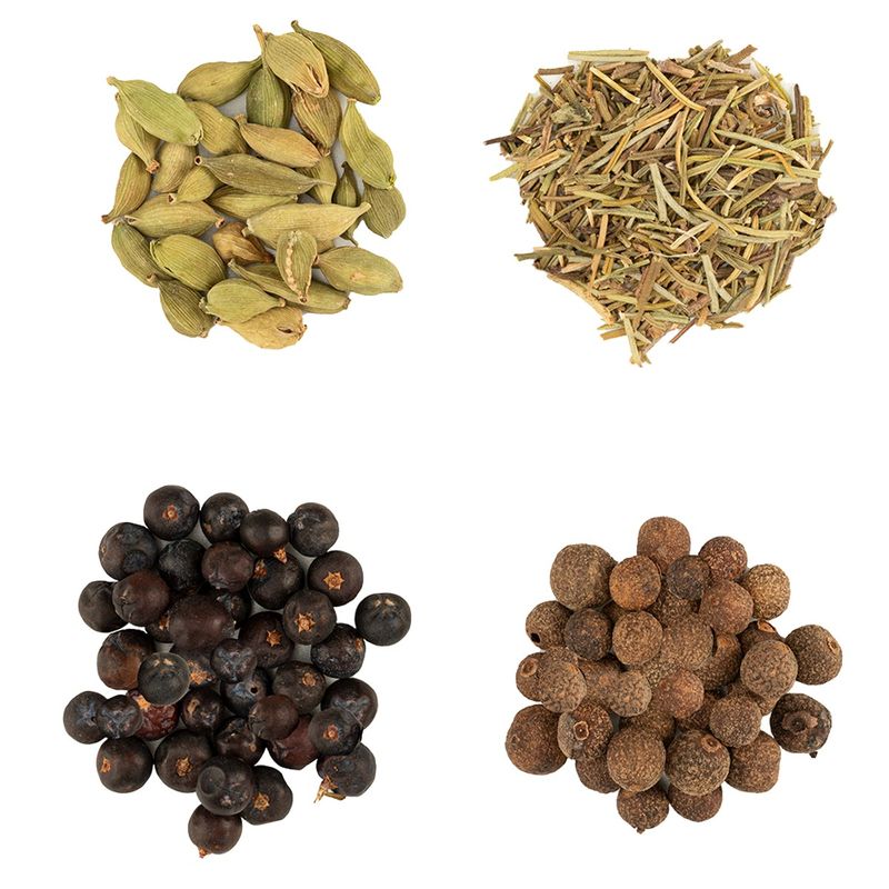 KIT-EXPERT-BR-SPICES-40G-GIN-TONICA