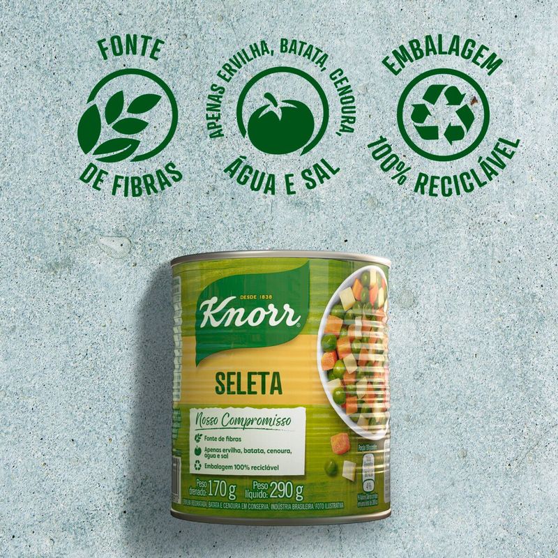 SELETA-LEGUM-KNORR-170G-TRAD