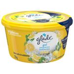 ODOR-GLADE-GEL-70G-CITRUS