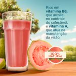 SUCO-PRON-XANDO-900ML-GOIABA
