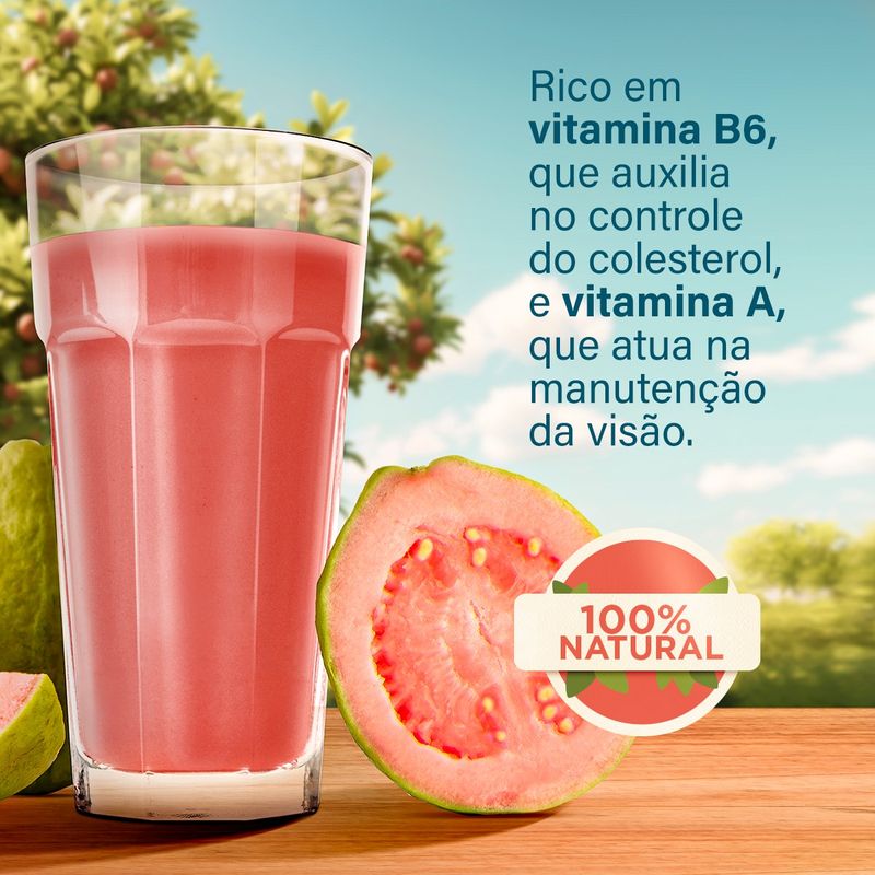SUCO-PRON-XANDO-900ML-GOIABA